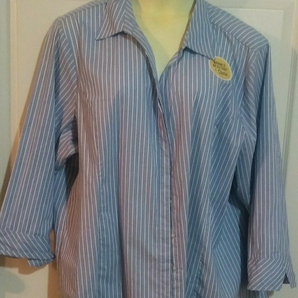 Button Down Shirt